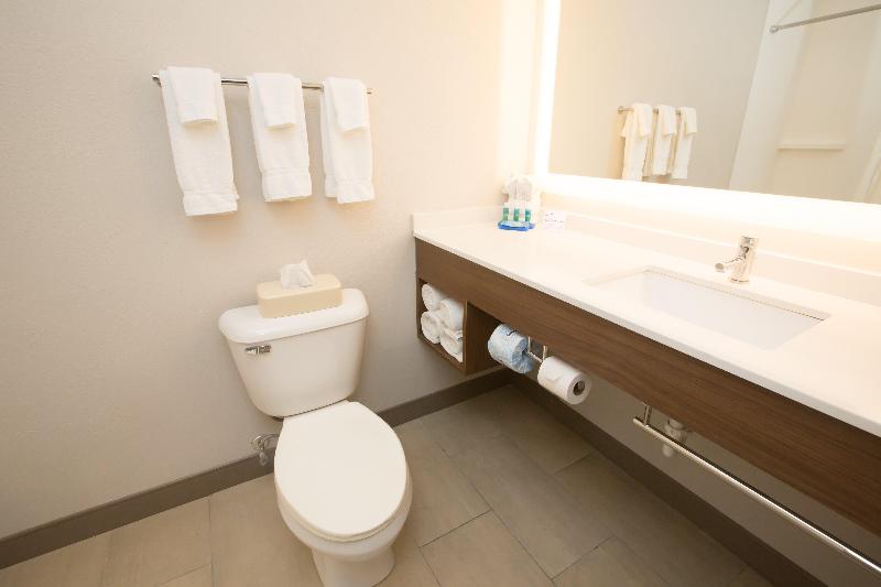 스위트 킹사이즈 침대, Holiday Inn Express Hotel & Suites Madison, An Ihg