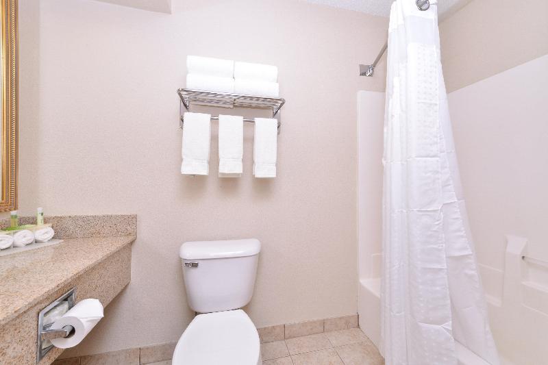 스위트 킹사이즈 침대, Holiday Inn Express Hotel & Suites Madison, An Ihg