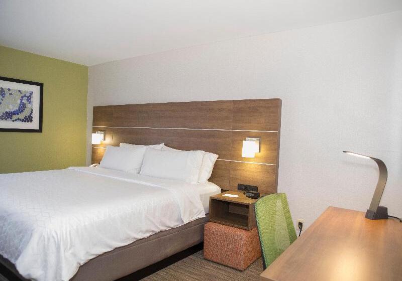 스탠다드 룸 킹사이즈 침대, Holiday Inn Express Hotel & Suites Madison, An Ihg