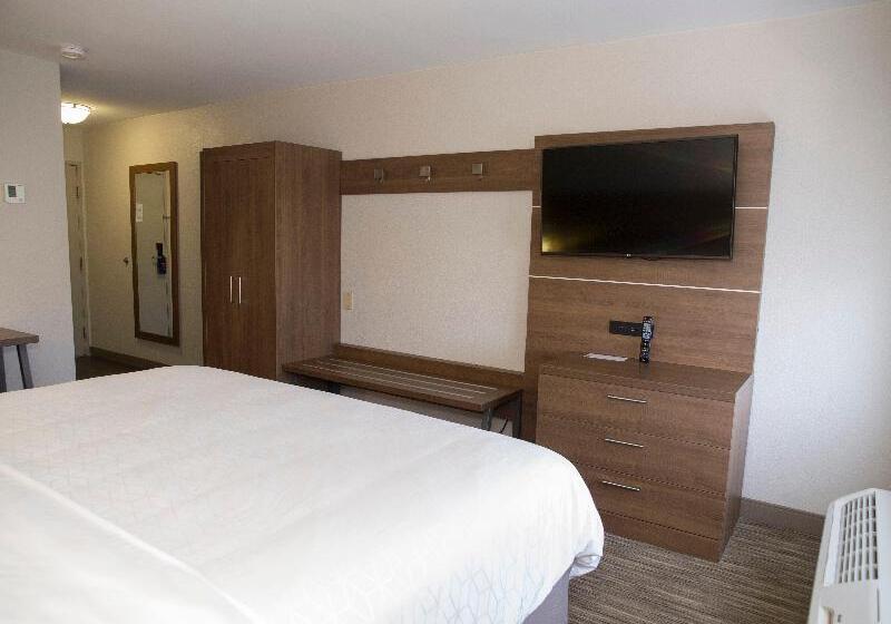 스탠다드 룸 킹사이즈 침대, Holiday Inn Express Hotel & Suites Madison, An Ihg