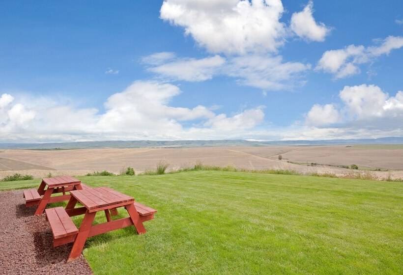 اتاق استاندارد, Holiday Inn Express Pendleton, An Ihg