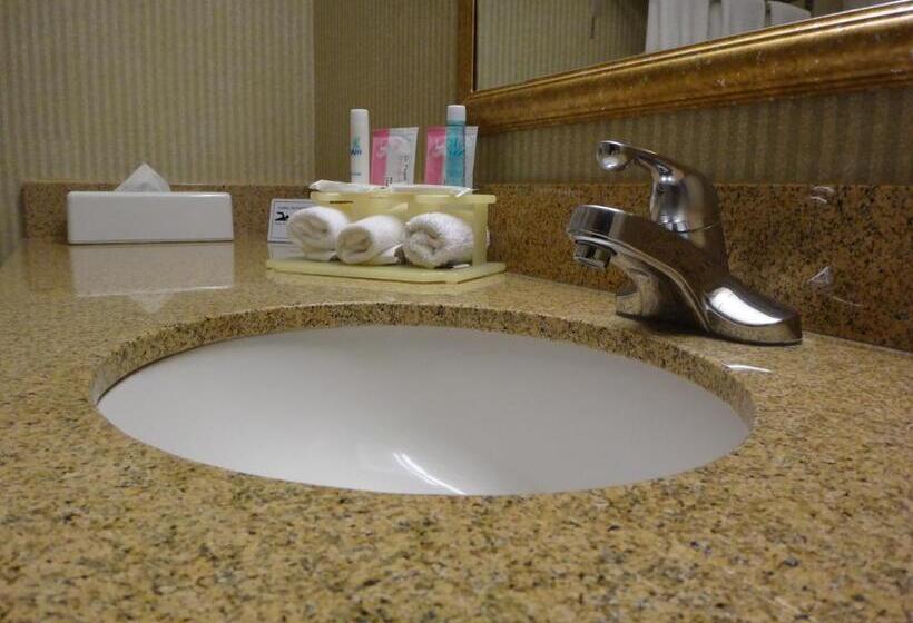 Номер Стандарт, Windsor Inn & Suites