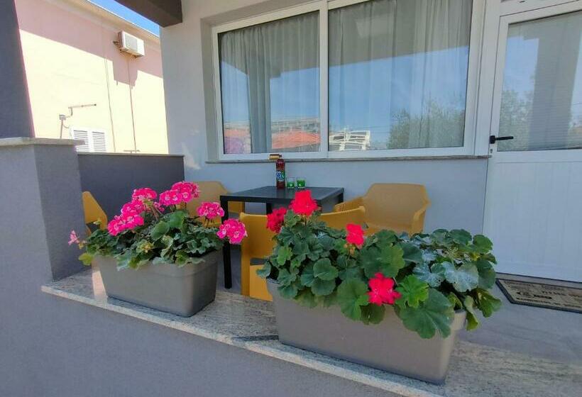 استودیوی استاندارد, The Nice Dreams Studio Apartment