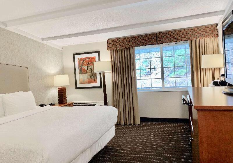 장애인을 위한 킹사이즈 침대 스탠다드 룸, Best Western Springfield
