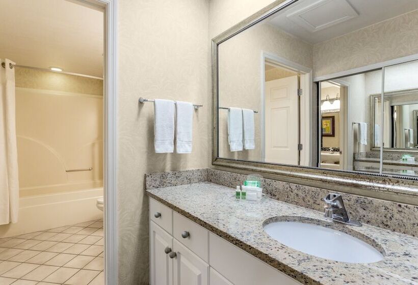 Люкс с Видом, Holiday Inn & Suites Clearwater Beach S Harbourside