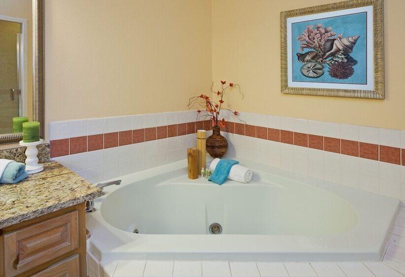 Люкс с Видом, Holiday Inn & Suites Clearwater Beach S Harbourside