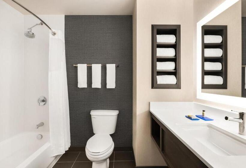 이그제큐티브 룸 킹사이즈 침대, Holiday Inn Express & Suites Denver Airport, An Ihg