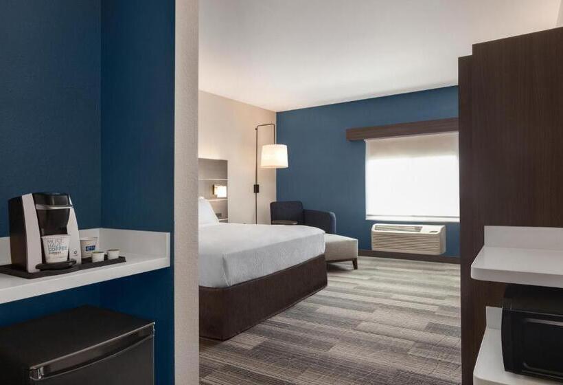 장애인을 위한 킹사이즈 침대 스탠다드 룸, Holiday Inn Express & Suites Denver Airport, An Ihg