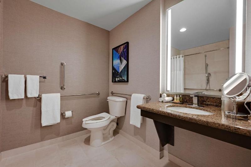 장애인을 위한 킹사이즈 침대 스탠다드 룸, Holiday Inn Express & Suites Denver Airport, An Ihg