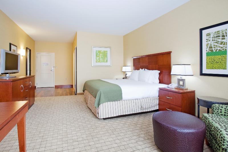 이그제큐티브 룸 킹사이즈 침대, Holiday Inn Express & Suites Denver Airport, An Ihg