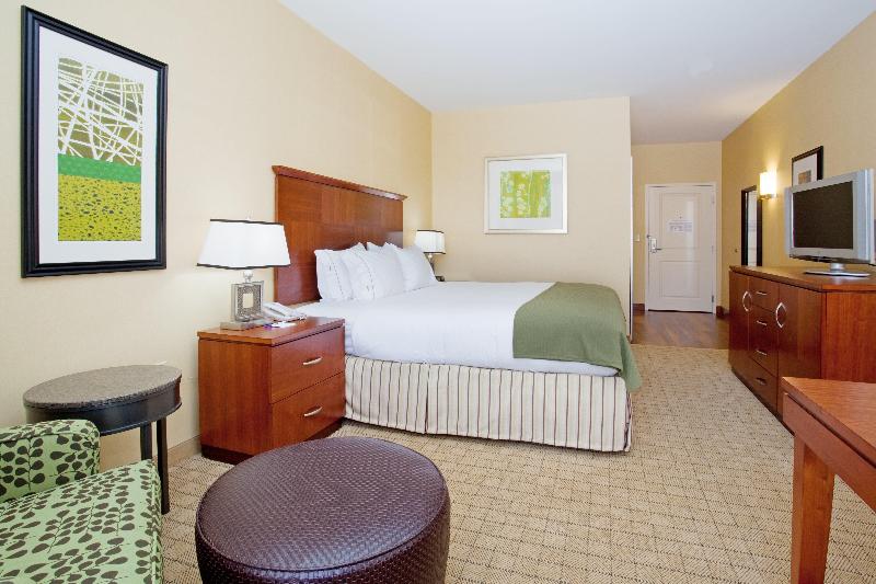 חדר אקזקיוטיב חדר קינג, Holiday Inn Express & Suites Denver Airport, An Ihg