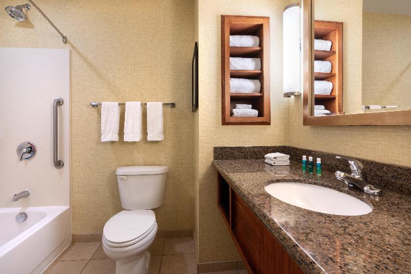 이그제큐티브 룸 킹사이즈 침대, Holiday Inn Express & Suites Denver Airport, An Ihg
