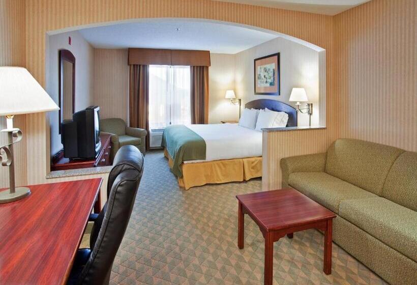 Стандартный Номер Кровать Кинг, Holiday Inn Express  & Suites Lansingleavenworth