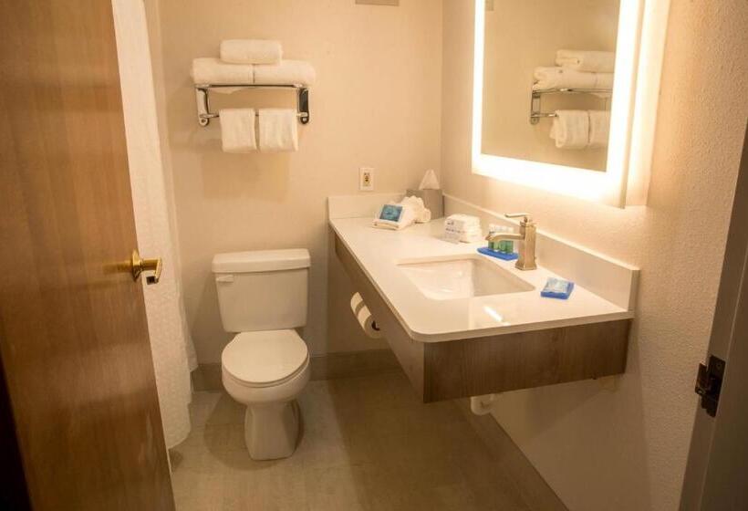 스탠다드 룸 킹사이즈 침대, Holiday Inn Express Easton, An Ihg