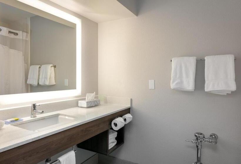 חדר סטנדרט, Holiday Inn Express & Suites Milton East I 10, An Ihg