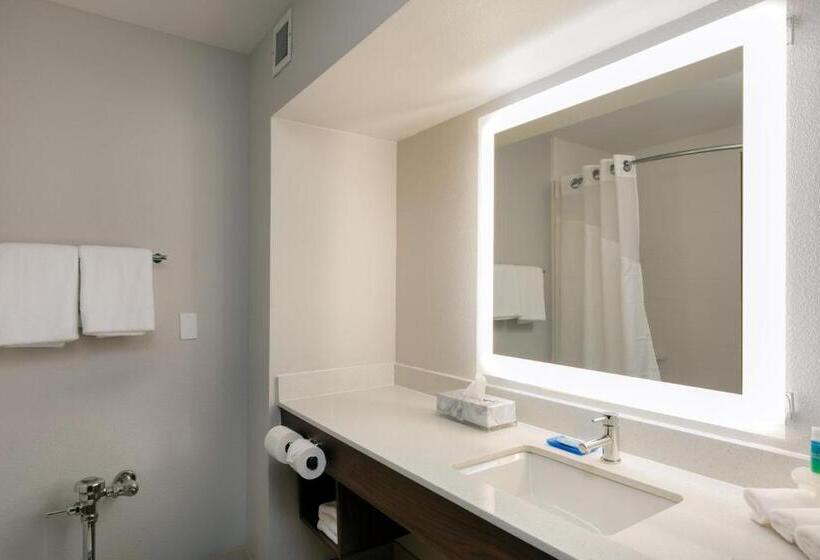 חדר דחוקס עם מיטת קינג, Holiday Inn Express & Suites Milton East I 10, An Ihg
