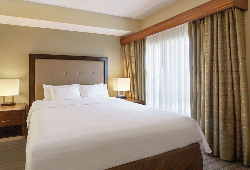 장애인을 위한 스위트, Homewood Suites By Hilton St. Petersburg Clearwater