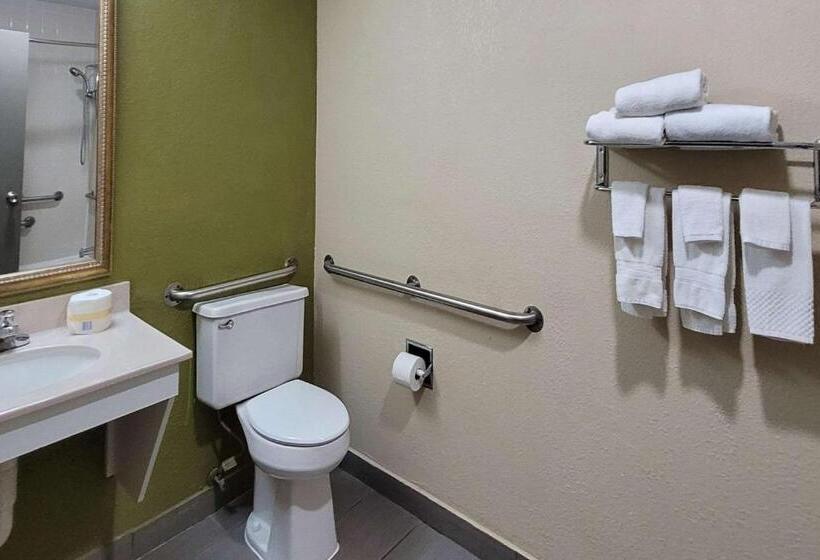 适合残疾人士使用的带超级大床的标准间, Quality Inn & Suites Columbia I70