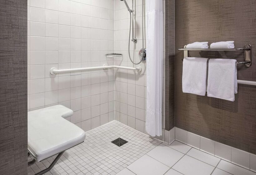 Pokój Standard 2 Łóżka Małżeńskie, Hyatt Centric Chicago Ohare