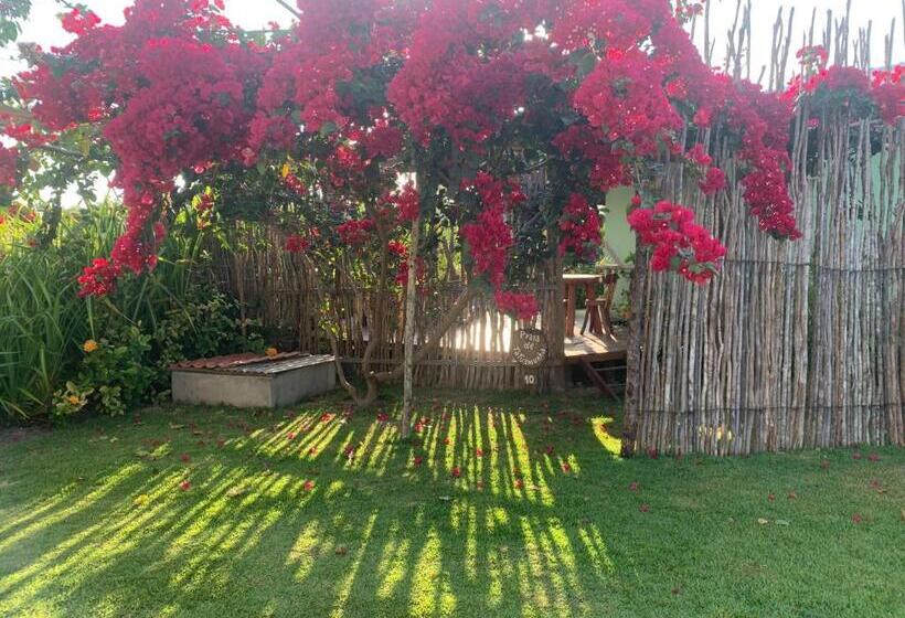 ویلای یک اتاق خوابه با استخر شنا, Vila Do Coco   Milagres Al