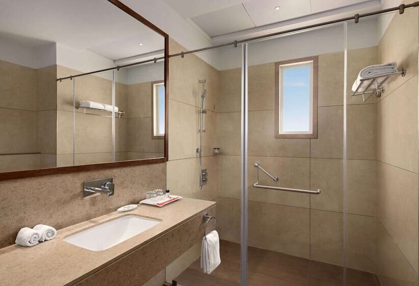 Номер Deluxe, Ramada By Wyndham Gandhidham Shinay