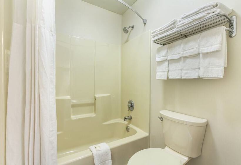 带2个双人床的标准工作室, Quality Inn Johnson City I 26 Exit 17