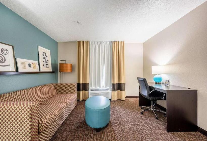 스위트 킹사이즈 침대, Sleep Inn & Suites