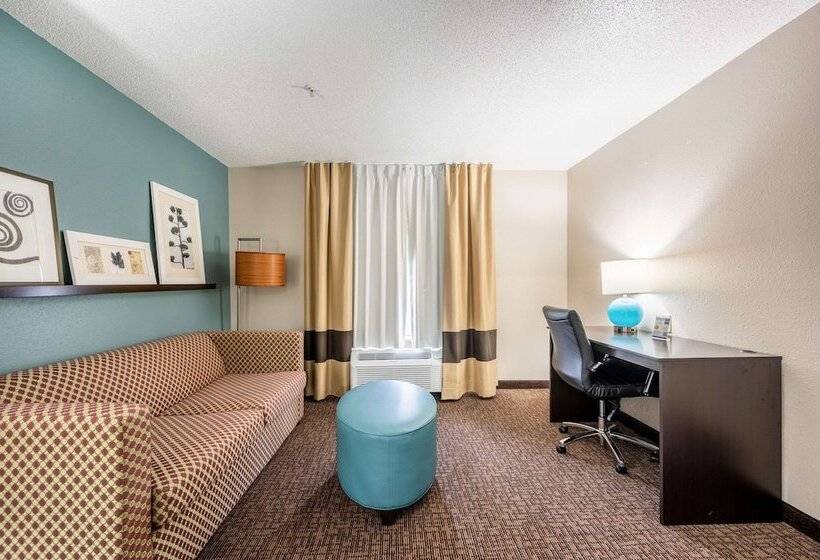 스위트, Sleep Inn & Suites