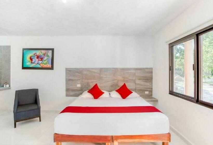 اتاق لوکس, Casa Ariana