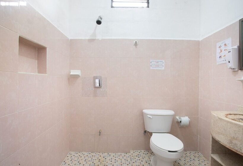 اتاق لوکس, Casa Ariana