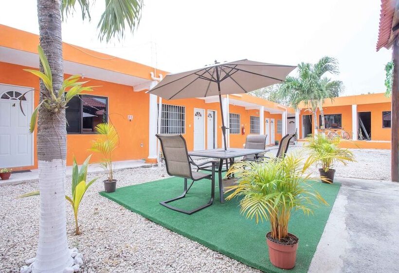 اتاق لوکس, Casa Ariana