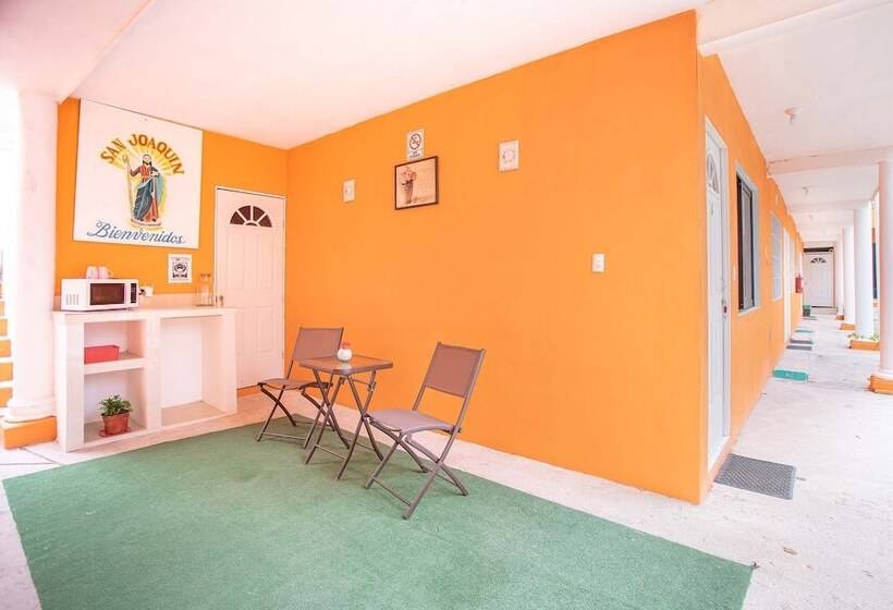 اتاق استاندارد, Casa Ariana