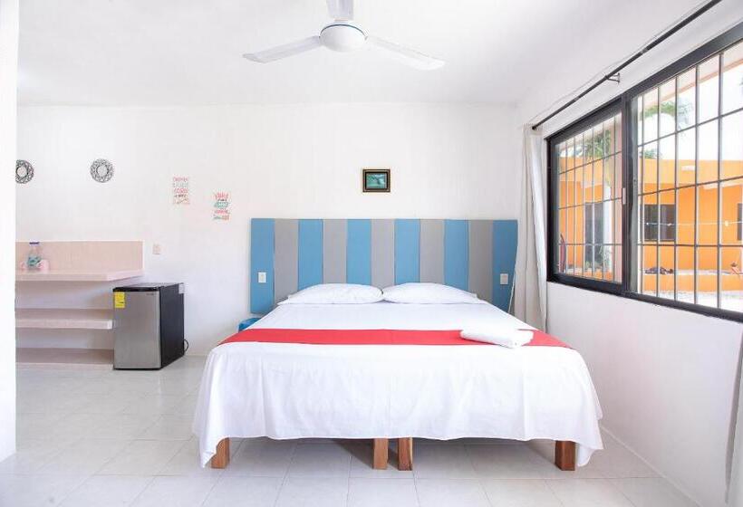 اتاق لوکس, Casa Ariana