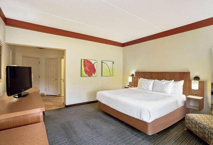 Camera Standard Letto King Accessibile ai persone con mobilità ridotta, La Quinta By Wyndham Memphis Primacy Parkway