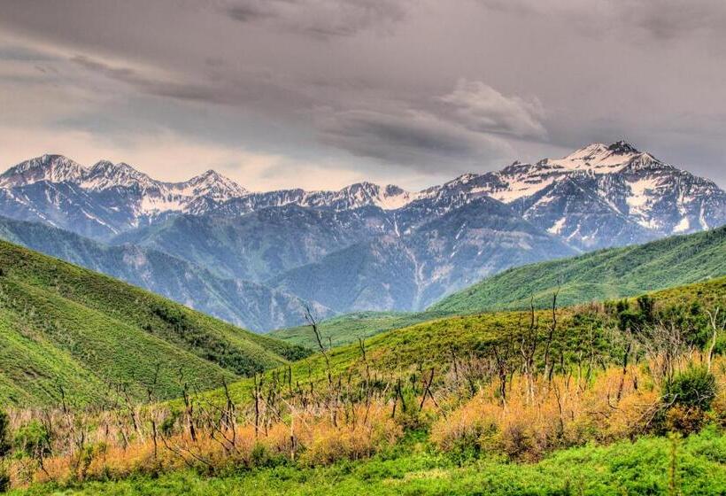 Апартаменты 1 Спальня, The Lodge At The Mountain Village