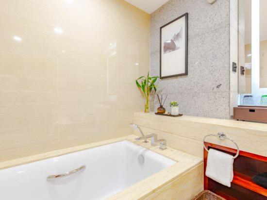 Номер Стандарт Тематический, Binhai Jinling International