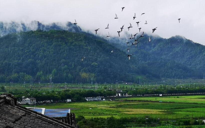 Люкс, Floral Tengchong Mountain Residence