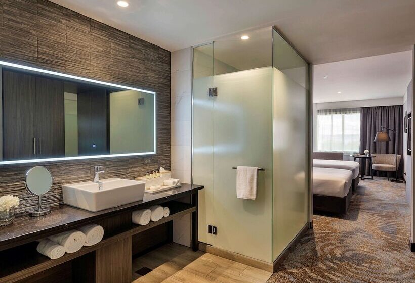 Номер Superior Вид на Город, Pullman Rotorua
