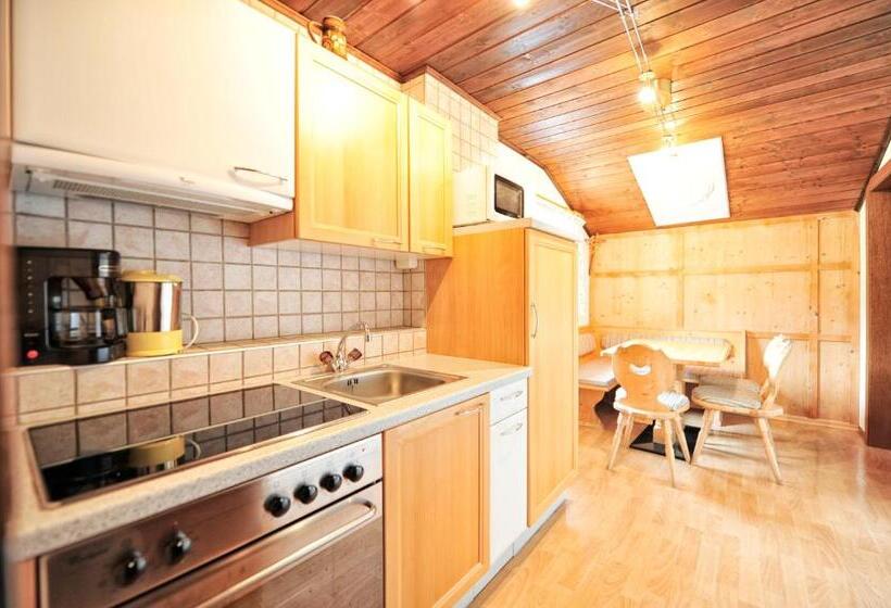 Апартаменты 1 Спальня с Балконом, Galtürerhof