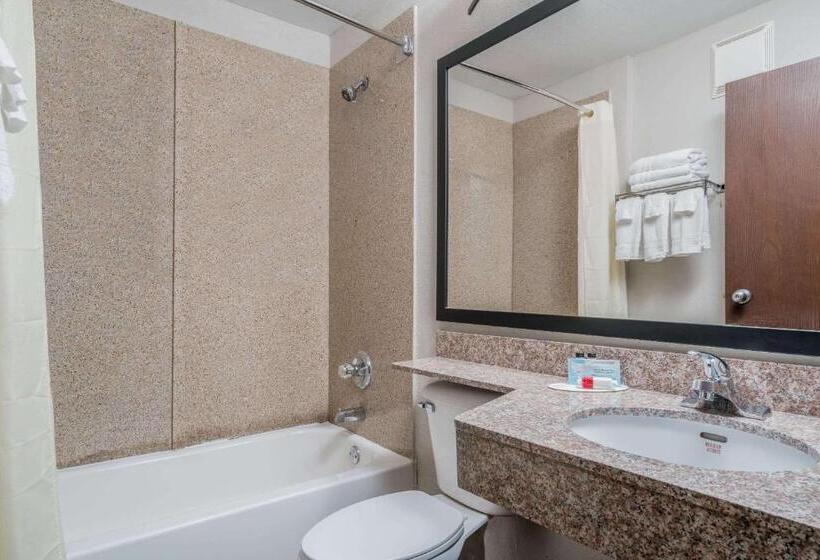 Студия Стандарт, Microtel Inn & Suites By Wyndham Rochester North Mayo Clinic