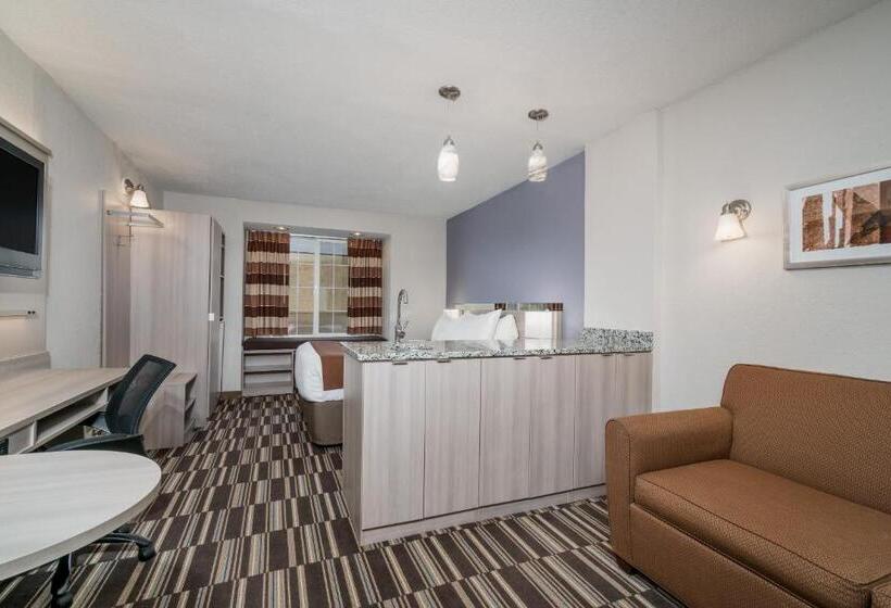 标准工作室, Microtel Inn & Suites By Wyndham Rochester North Mayo Clinic