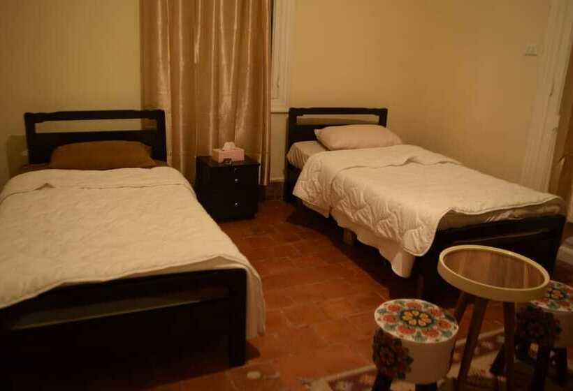 اتاق اکونومی, Seed Guest House