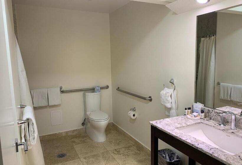 Quarto Estandar para Deficientes Físicos, Munras Inn