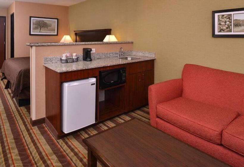 스탠다드 룸 킹사이즈 침대, Best Western Wilsonville Inn & Suites