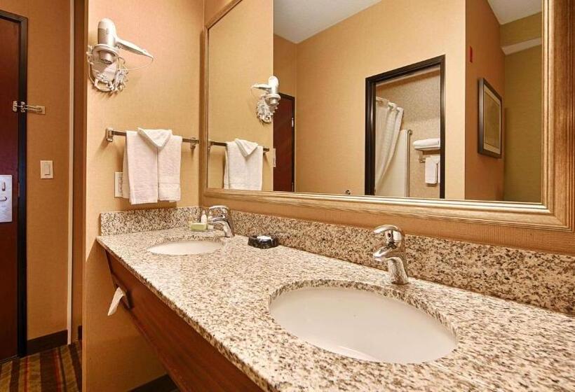 스탠다드 룸 킹사이즈 침대, Best Western Wilsonville Inn & Suites
