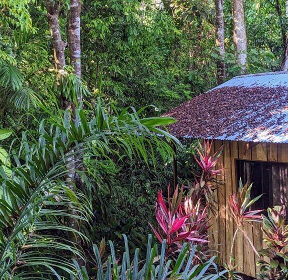 Семейный Номер Вид на Горы, Citronela Lodge Corcovado