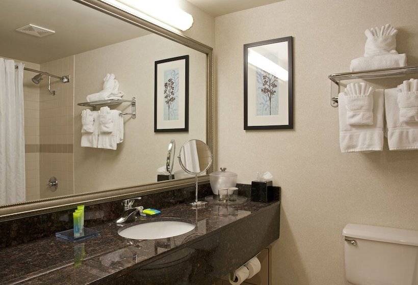 Номер Deluxe, Doubletree By Hilton Pleasant Prairie Kenosha