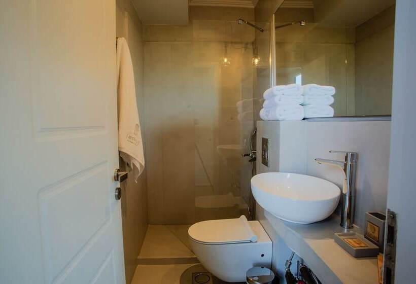 غرفة إقتصادية, Aethra Boutique Rooms