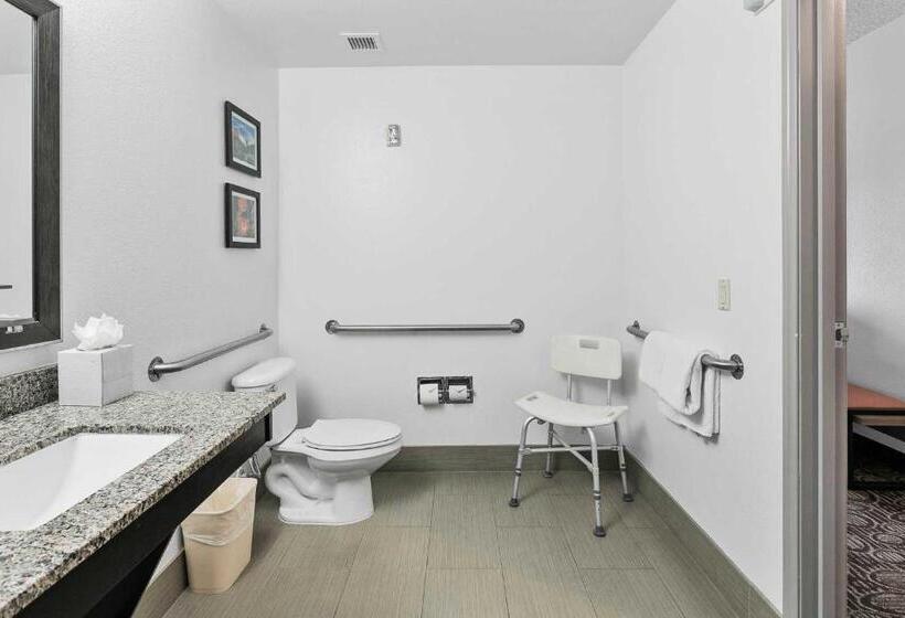 Номер Стандарт Кровать Кинг Адаптированный для Инвалидов, Comfort Inn Chandler  Phoenix South I10