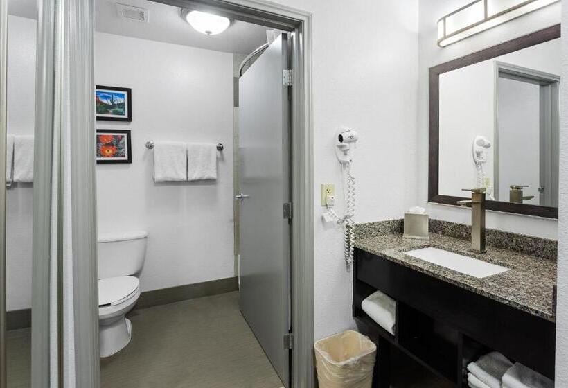 Люкс Superior, Comfort Inn Chandler  Phoenix South I10